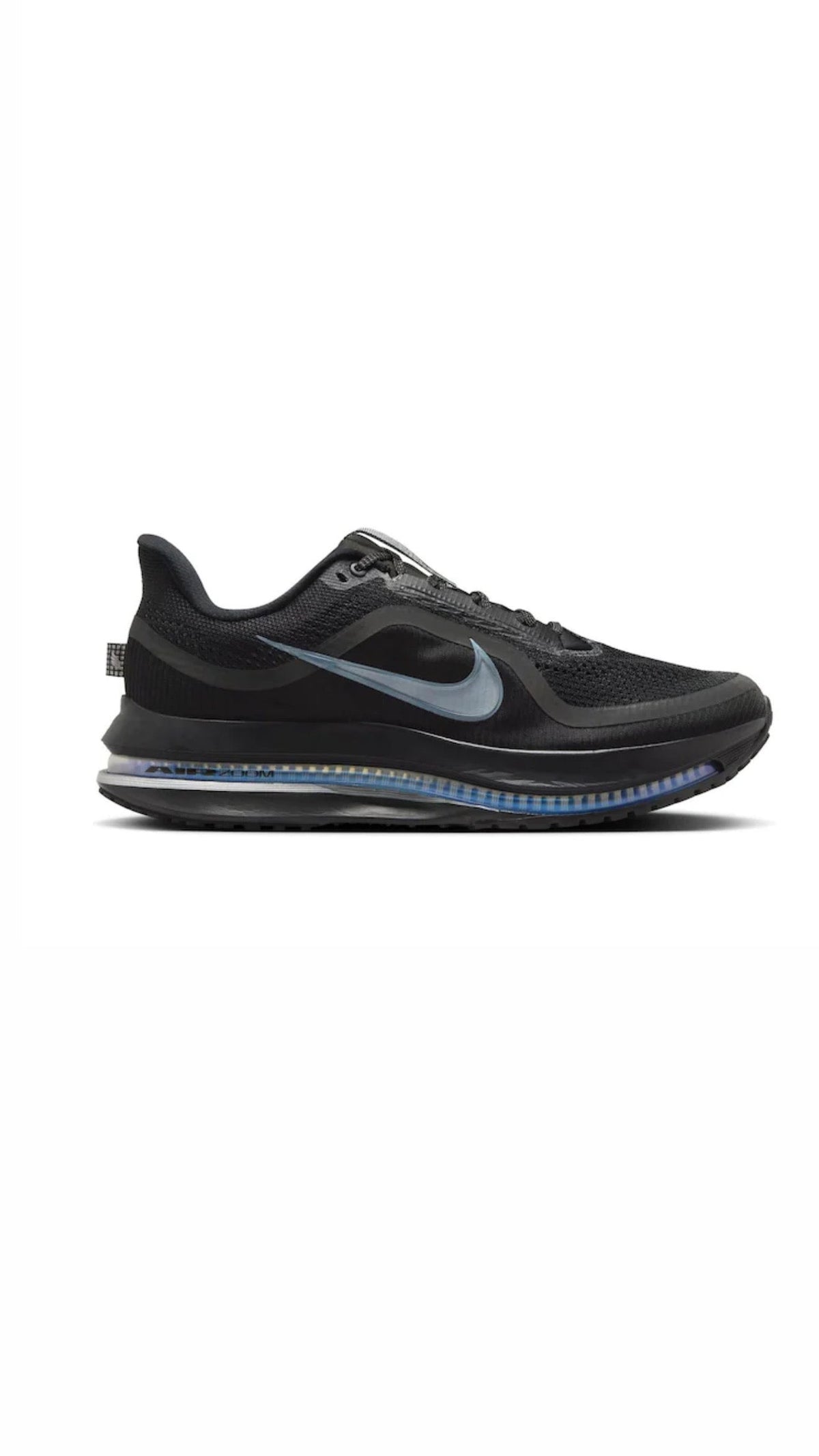 Nike Pegasus Premium Black